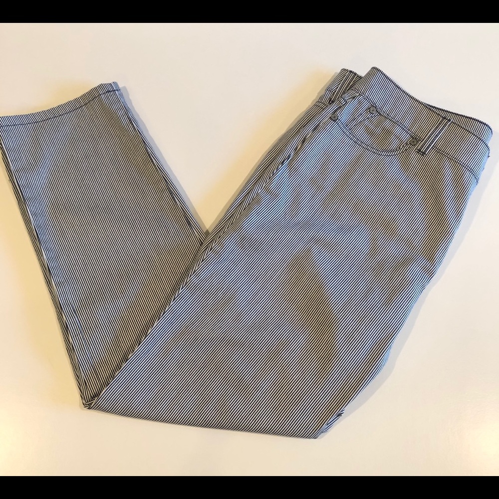 🍉 Talbots NWOT Navy Pinstripe Pants 12P